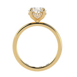 Hidden Halo Oval Brilliant Cut