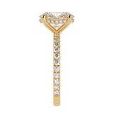 Hidden Halo Oval Brilliant Cut French Cut Pavè