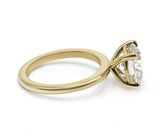 Solitaire with a collar 2.00+ ct D-E/VS