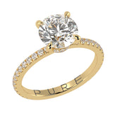 Simplest Bow Hidden Halo