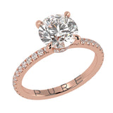 Simplest Bow Hidden Halo