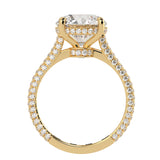 Round Brilliant Cut Diamond Halo Three Row Pavé Ring