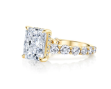 Hidden Halo Radiant Cut, French Cut Pavé sides