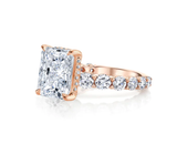 Hidden Halo Radiant Cut, French Cut Pavé sides