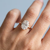 Clean and Simple Basket Timeless Oval