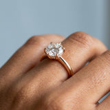 The 6-prong Hidden Halo Solitaire Ring