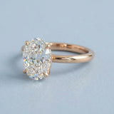 Clean and Simple Basket Timeless Oval