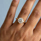The 6-prong Hidden Halo Solitaire Ring