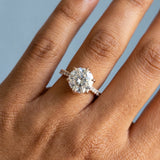 Round Cut Diamond Engagement Ring with Unique Floral Prongs