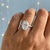 Hidden Halo Oval Brilliant Cut French Cut Pavè