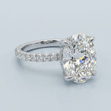 Hidden Halo Oval Brilliant Cut French Cut Pavè