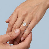 Clean and Simple Basket Timeless Oval