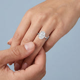 Clean and Simple Basket Timeless Oval