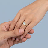 Round Brilliant Cut Diamond Hidden Halo Unique Sides