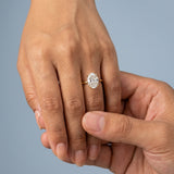 Solitaire Inspired Hidden Halo Oval Brilliant Cut