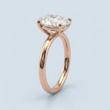 Clean and Simple Basket Timeless Oval