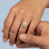 Solitaire Inspired Hidden Halo Round Brilliant