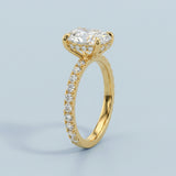 Hidden Halo Oval Brilliant Cut French Cut Pavè