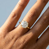 Solitaire Inspired Hidden Halo Round Brilliant