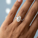 Hidden Halo Oval Brilliant Cut French Cut Pavè