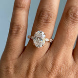 Stunning Oval Cut Diamond Engagement Ring