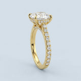 Cathedral Hidden Halo Round Cut Diamond, French Cut Pavé sides