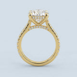 Cathedral Hidden Halo Round Cut Diamond, French Cut Pavé sides