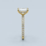 Emerald Cut Diamond French Cut Pave Engagement Ring