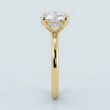 Solitaire Inspired Hidden Halo Round Brilliant