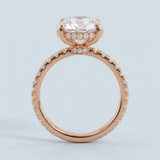 Side Edge Halo Ring & Oval Cut Diamond