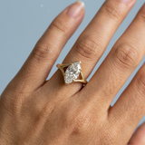 Modern Split-Shank Ring