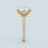 Side Edge Halo Ring & Oval Cut Diamond