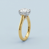 Round Brilliant Two-Tone Solitaire with Diamond Bridge & Hidden Halo