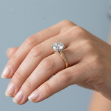 Round Brilliant Two-Tone Solitaire with Diamond Bridge & Hidden Halo