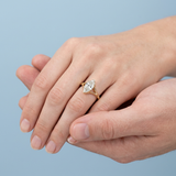 Modern Split-Shank Ring