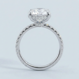 Side Edge Halo Ring & Oval Cut Diamond