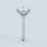 Side Edge Halo Ring & Oval Cut Diamond