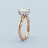 Round Brilliant Two-Tone Solitaire with Diamond Bridge & Hidden Halo