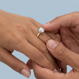 Round Brilliant Two-Tone Solitaire with Diamond Bridge & Hidden Halo