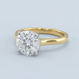 Round Brilliant Two-Tone Solitaire with Diamond Bridge & Hidden Halo
