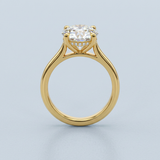 Cathedral Hidden Halo Round Cut Diamond Ring