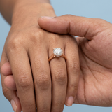 Cathedral Hidden Halo Round Cut Diamond Ring