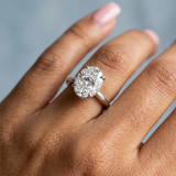Exquisite Oval Cut Diamond Solitaire with Hidden Halo