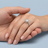 Cathedral Hidden Halo Round Cut Diamond Ring