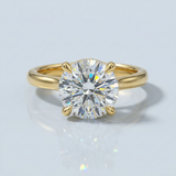 Cathedral Hidden Halo Round Cut Diamond Ring