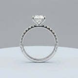 Best Ring Ever, Clean, Elegant and Classic. Two tone