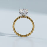 Two-Tone Oval Side-Edge Halo Ring Setting