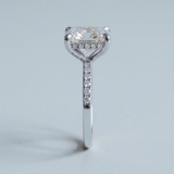 Radiant Hidden-Halo French Pavé Ring Setting