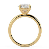 Clean and Simple Basket Timeless Oval