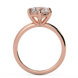 The 6-prong Solitaire